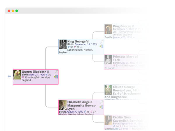 Example Pedigree Screenshot